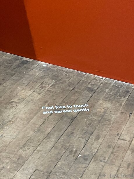 Tristamariemcg only fans pic