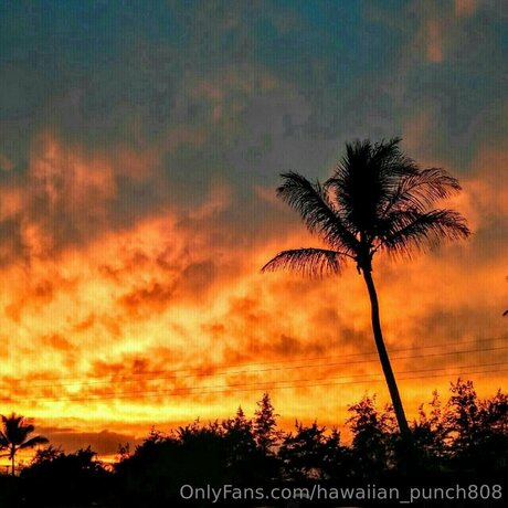 Hawaiian Punch808 only fans