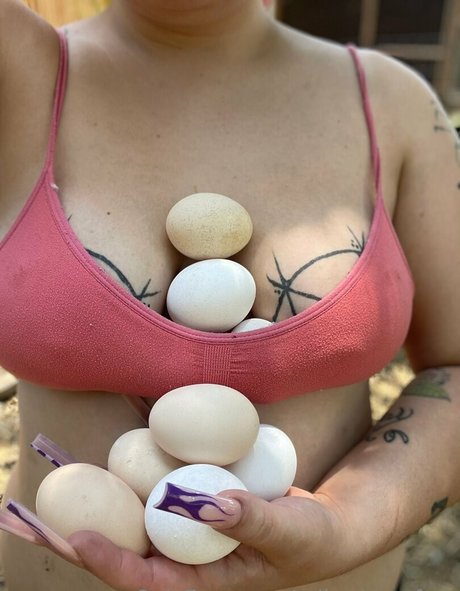 rollerdamefree Profile pic