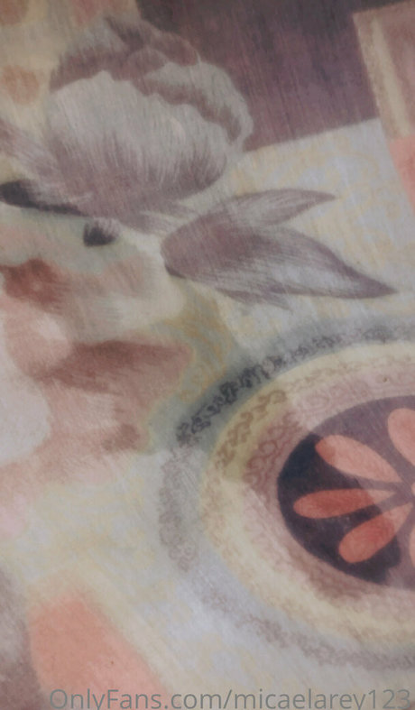 micaelarey123 onlyfans leaked