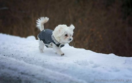 sofa ukr onlyfans leaked porn