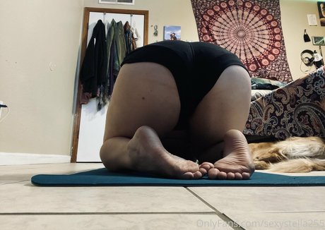 sexystella255 nude onlyfans leaked