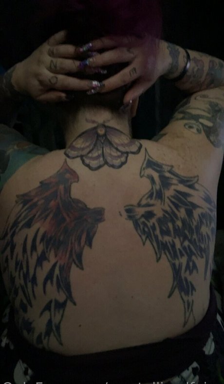 crystallizedfairy leaks only fans