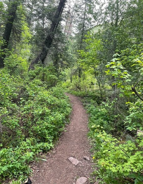 crystallizedfairy leaked onlyfans naked