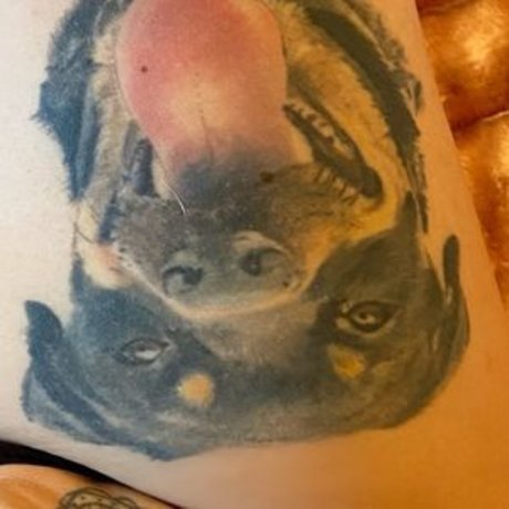 Jodie Marsh onlyfans tits