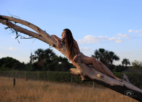 Luiz Luizavsm onlyfans leake