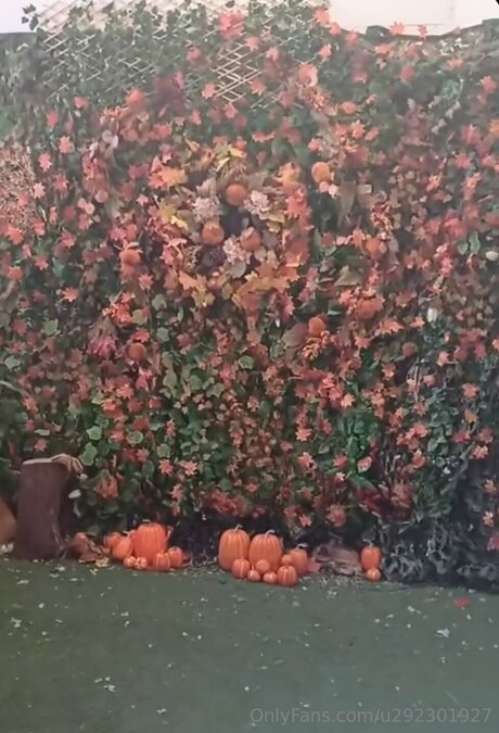 U292301927 porn only fans