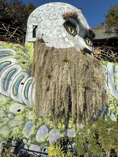 Darli onlyfans explicit content