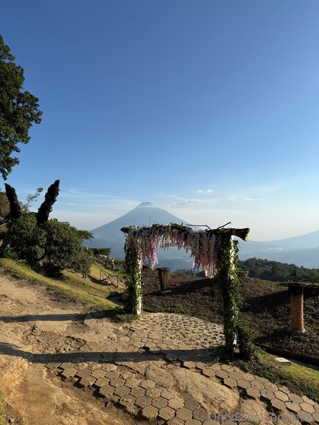 Darli onlyfans leaked photos