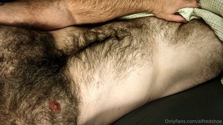 Alfredshoe leaked onlyfans nude