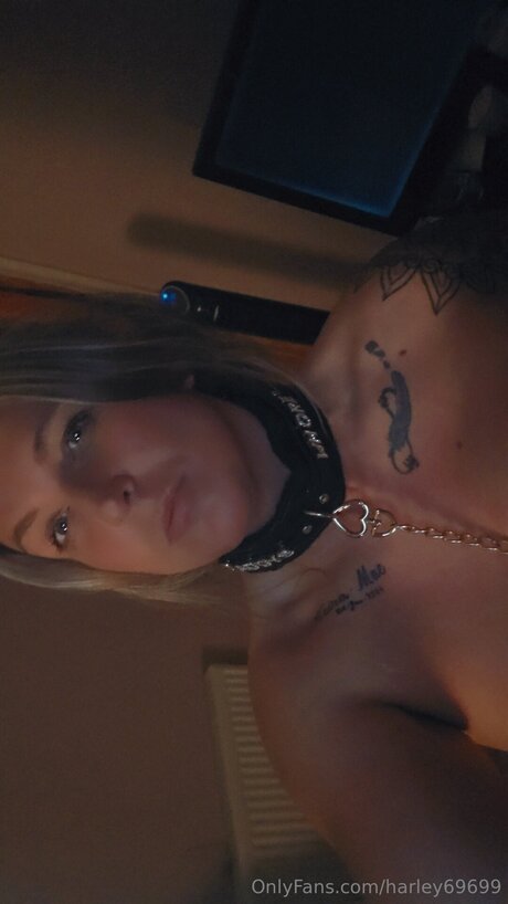 Harley69699 onlyfans pics