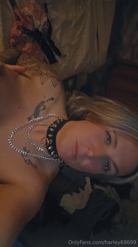Harley69699 onlyfans.