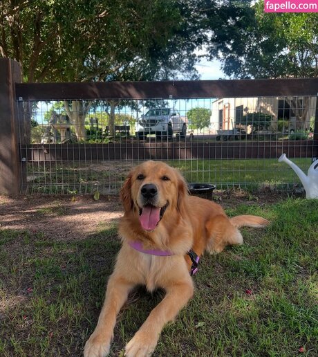 Pearl Farley leaked onlyfans sex tape