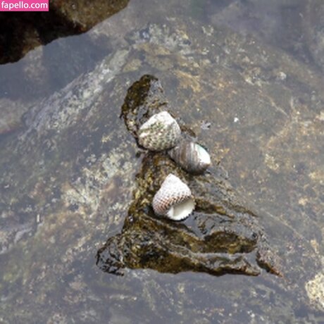 Girls HuntersBeauty xxx onlyfans