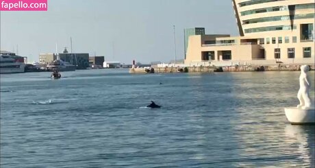 gioscotti onlyfans nudes