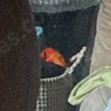 Brooke Barron Profile pic