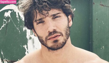 Stefano De Martino onlyfans sex