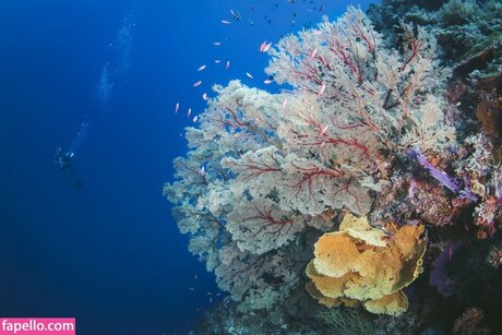 Jessica Segura onlyfans gratis