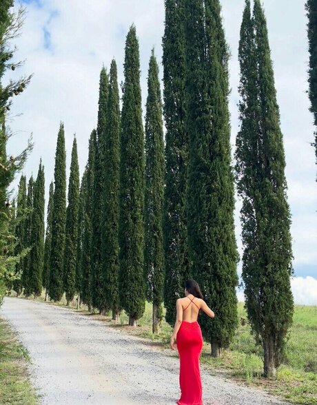 Sakshi Malik Profile pic