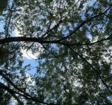 Linda patty94 onlyfans leak ass