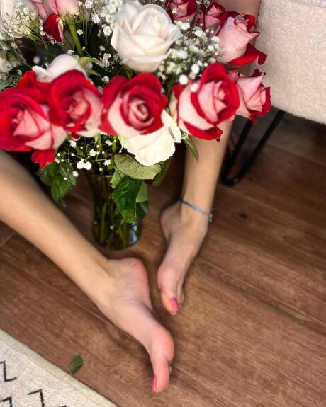 MissHazedFeet onlyfans.