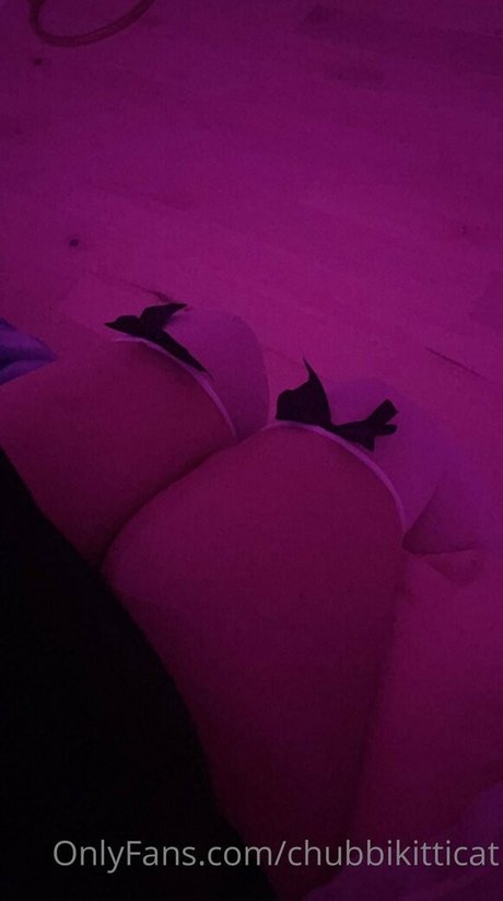 Chubbikitticat onlyfans photo