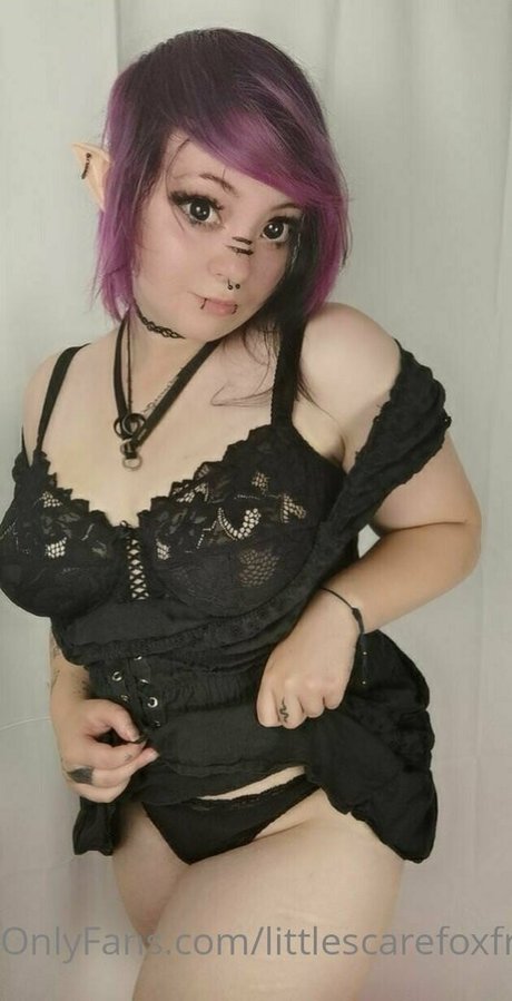 littlescarefoxfree onlyfans naked leaks