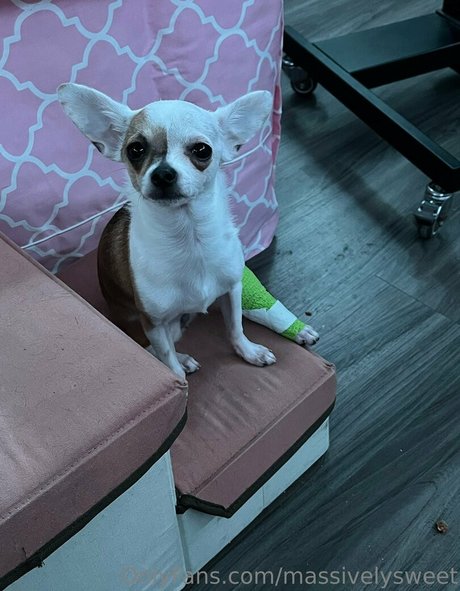 massivelysweet onlyfans leaked photos