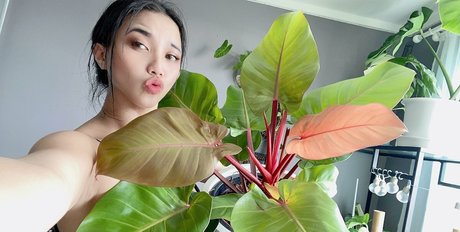 aboobies Profile pic