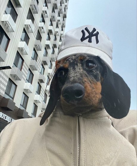 Daria Perel onlyfans leaked sex