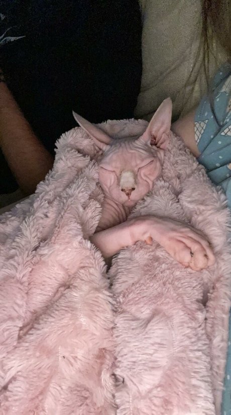 sxvvk onlyfans leaks