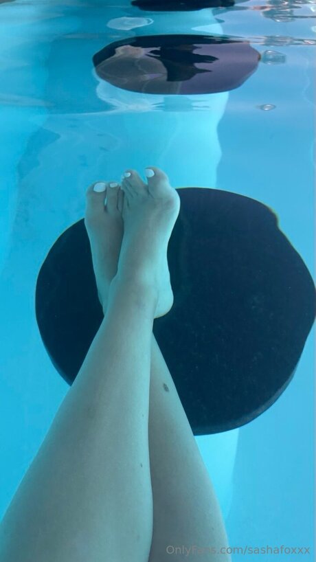sashafoxxx onlyfans ass