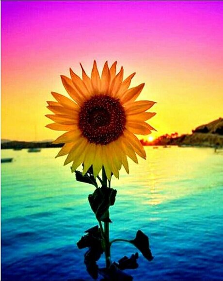 Chielsey_ onlyfans leaked xxx