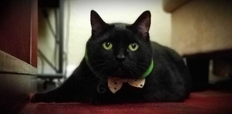 Wraith23 leaked onlyfans content