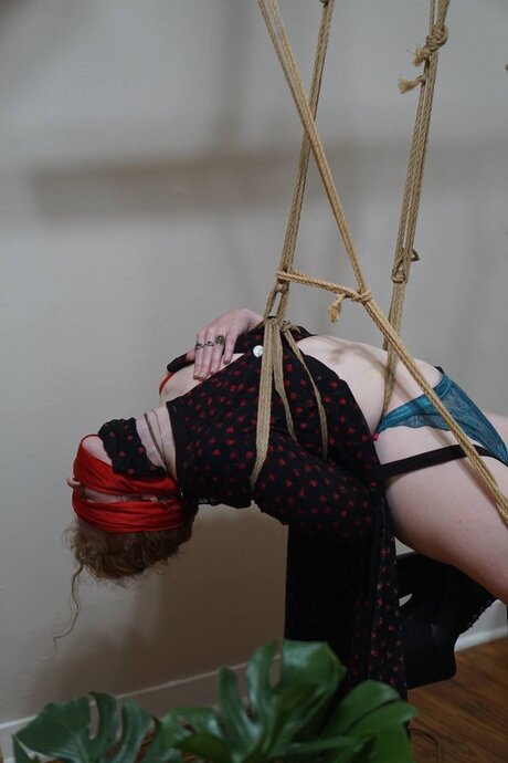 TheOolongQueen onlyfans photos