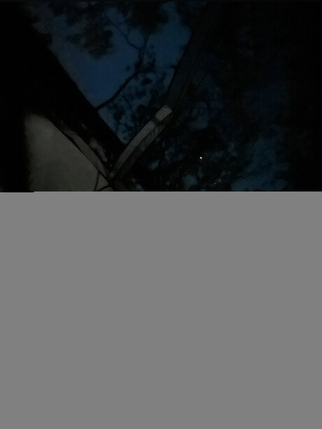 Ren amp lt3 onlyfans nudes porn