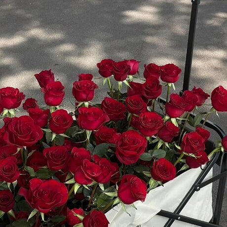 RedJeans onlyfans content type