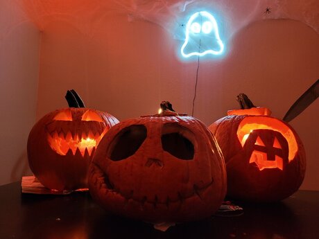 Belle Winter onlyfans porn