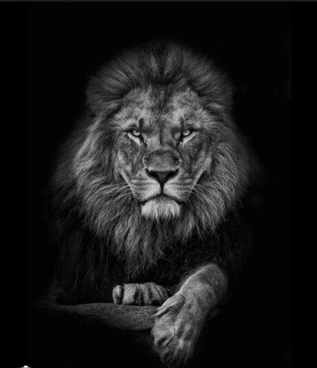 Cachondo19 sex onlyfans