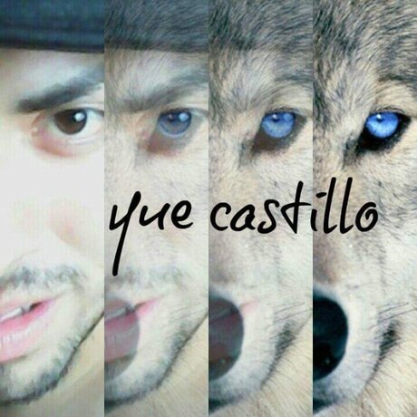 Orlando Castillo onlyfans leaks porn