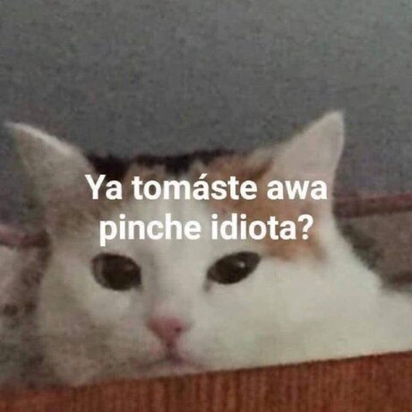 yasmin luna onlyfans leaked porn