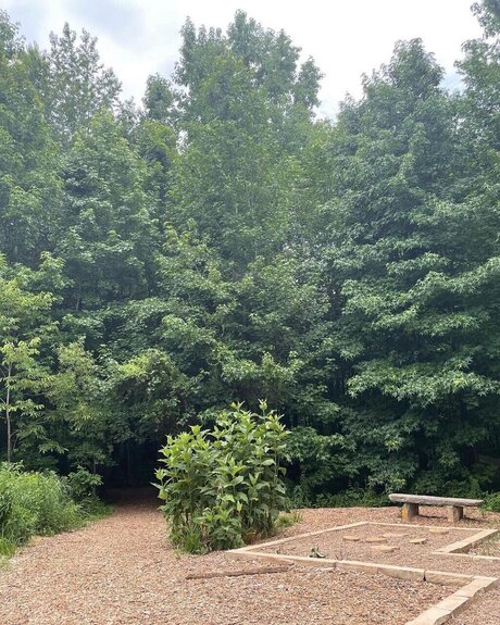 Ollie Morgan onlyfans for free