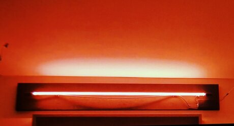 Ms Kuddo only fans sex