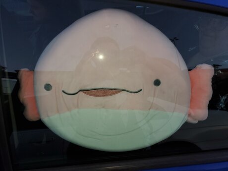 Achu Blesumi onlyfans nude leak