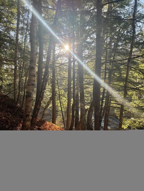 caleb gallo naked on onlyfans