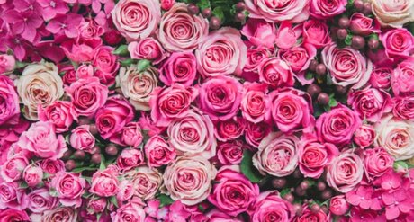 Jeunique Riedl naked on onlyfans