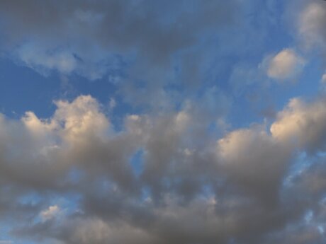 Loring onlyfans keak