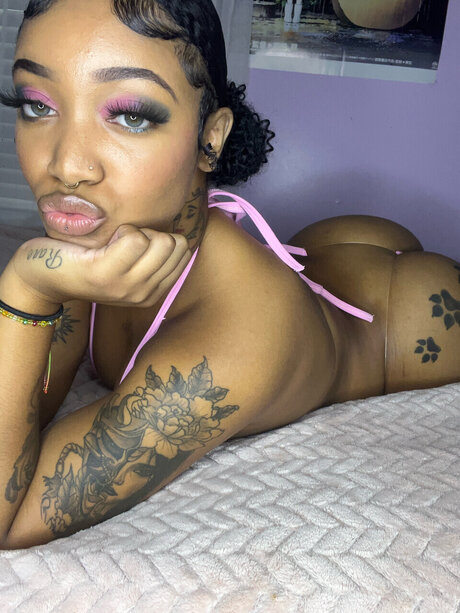 vixen wett_ onlyfans pic