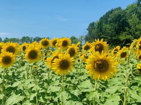 Melly_ onlyfans leaked photos