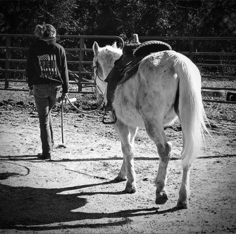 that southern girl onlyfans porn